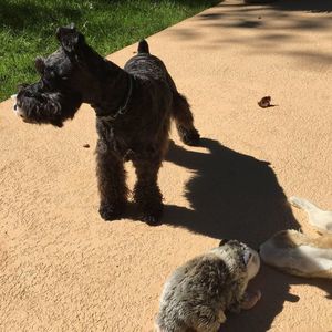 Meet your Posher, David